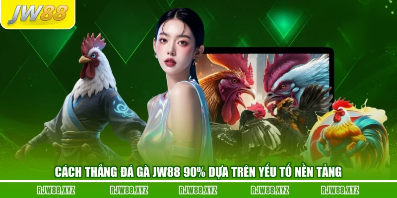 Cách thắng đá gà JW88 90% dựa trên yếu tố nền tảng