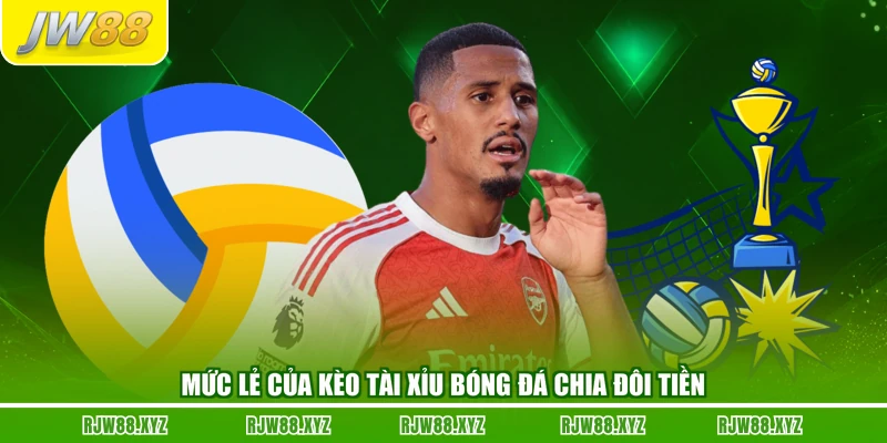 Mức lẻ của kèo tài xỉu bóng đá chia đôi tiền
