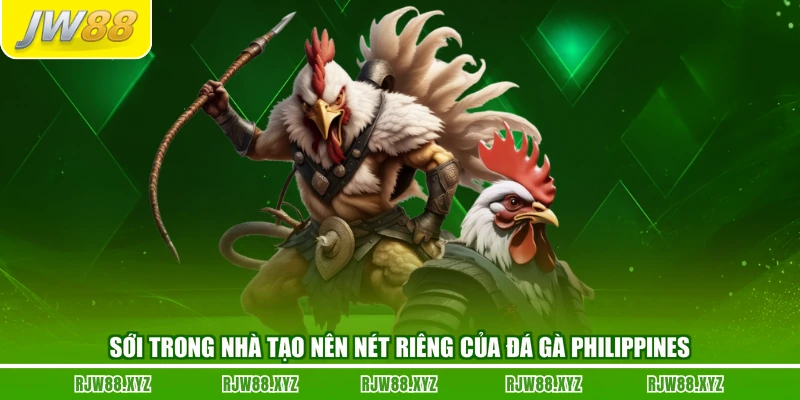 Sới trong nhà tạo nên nét riêng của đá gà Philippines